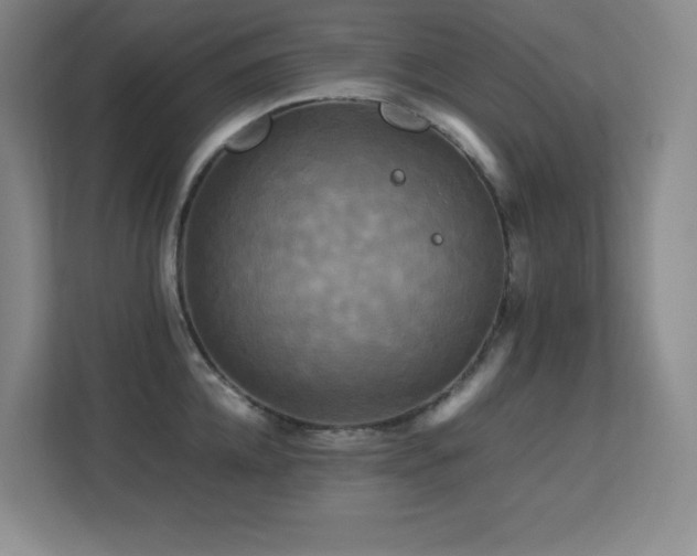 X0000113250952200909101426
