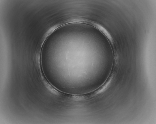 X0000113250954200909101426