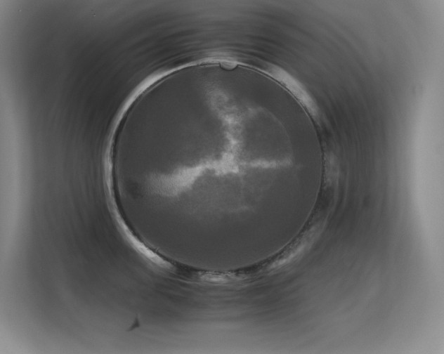 X0000113250955200909101426