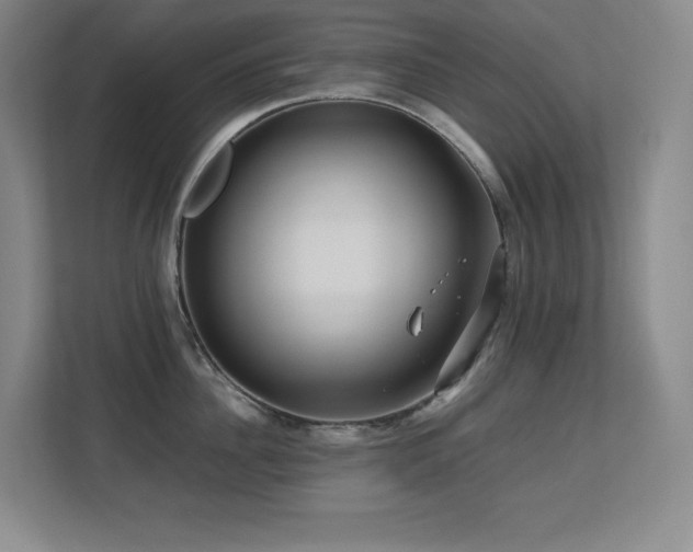 X0000113250956200909101426