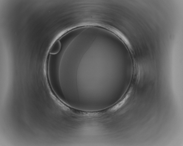 X0000113250958200909101426