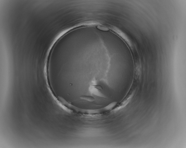 X0000113250959200909101426