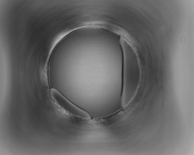 X0000113250960200909101426
