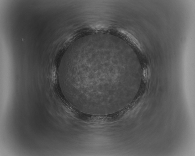 X0000113250963200909101425