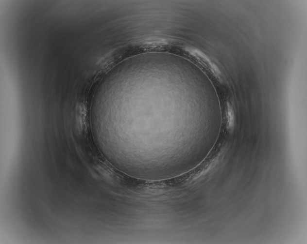 X0000113250964200909101425