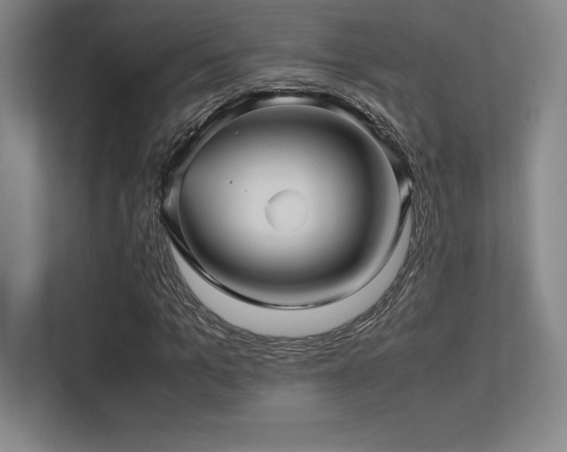X0000113250965200909101425