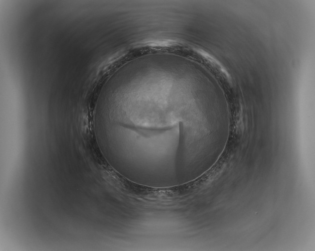 X0000113250966200909101425