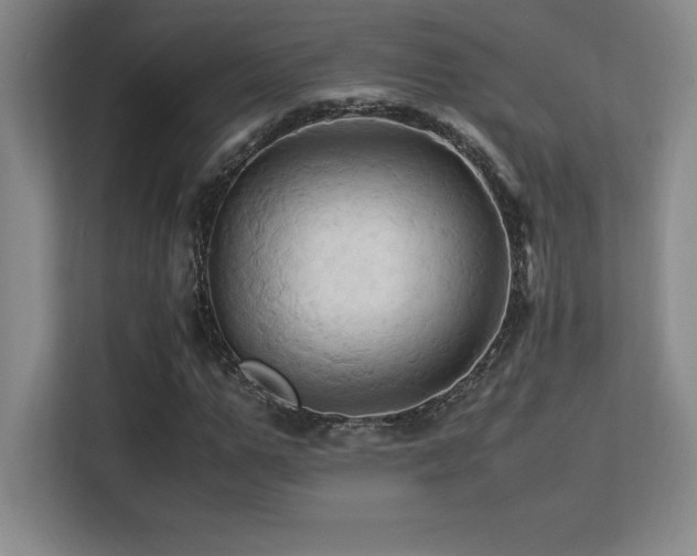 X0000113250967200909101425