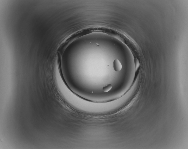 X0000113250969200909101425