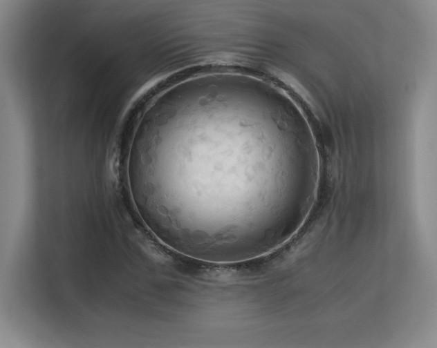 X0000113250971200909101425