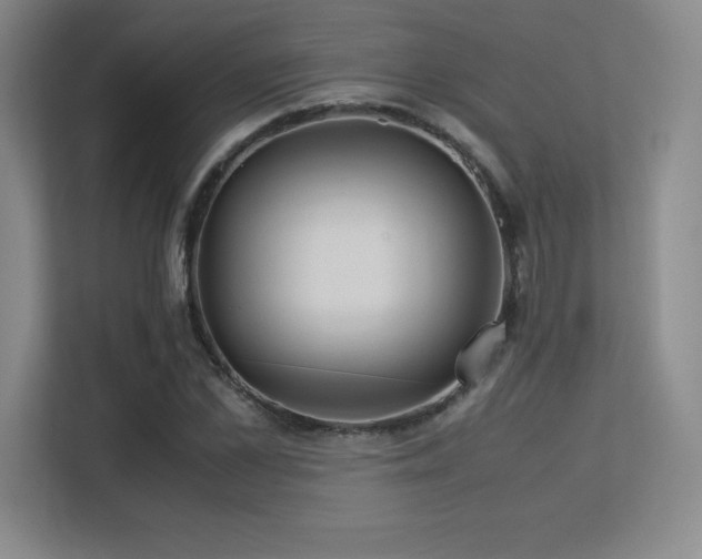 X0000113250973200909101425