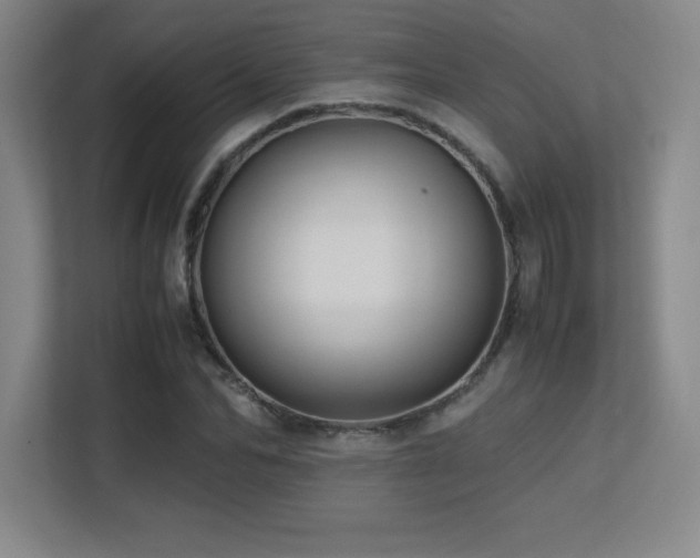 X0000113250974200909101425