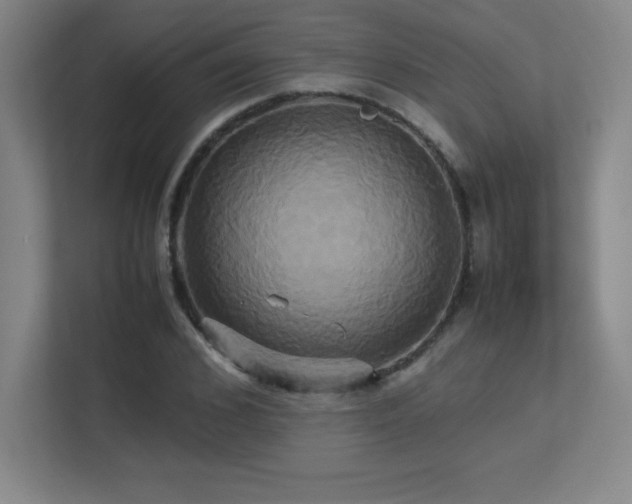 X0000113250976200909101425