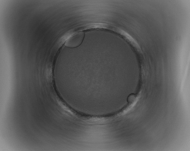 X0000113250977200909101425