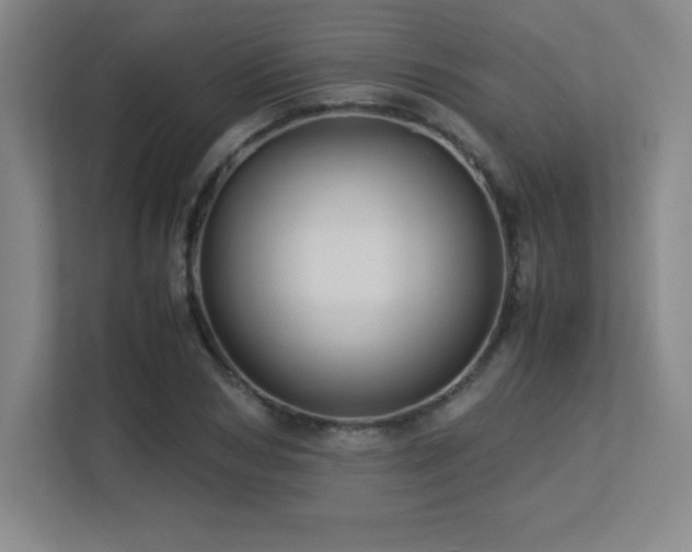 X0000113250978200909101425