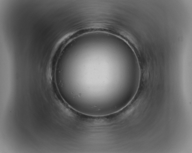 X0000113250979200909101425