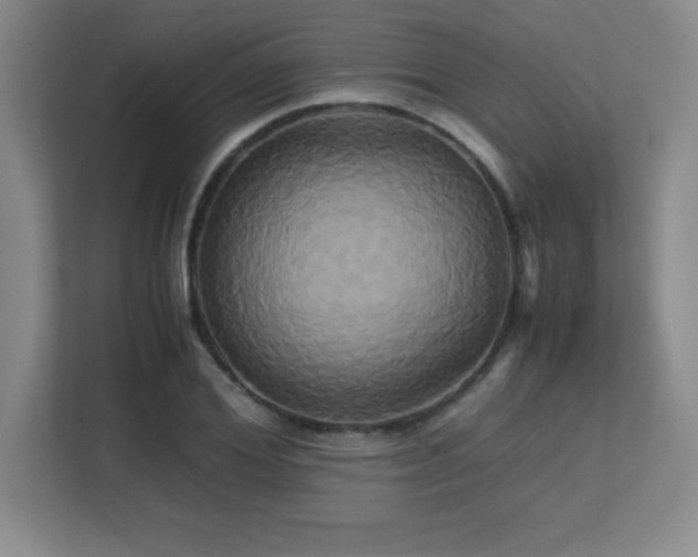 X0000113250980200909101425