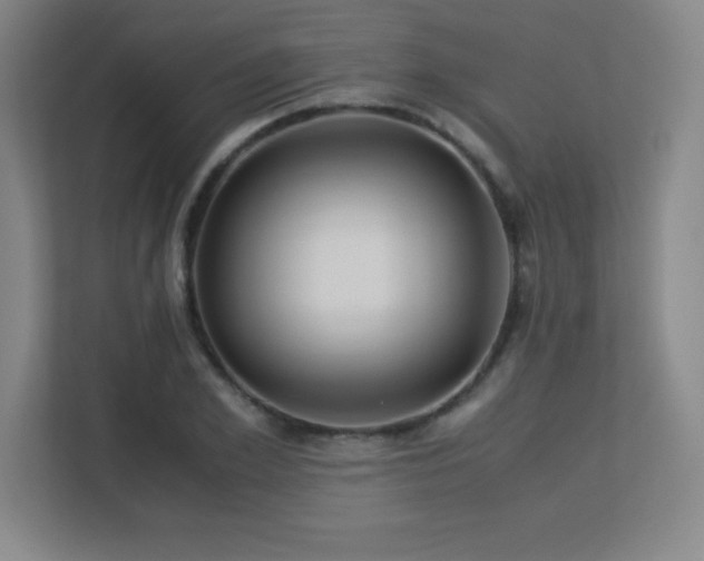 X0000113250981200909101425