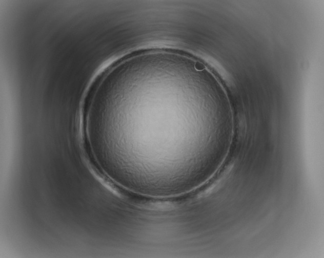 X0000113250982200909101425