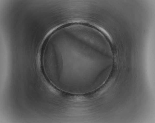 X0000113250983200909101425
