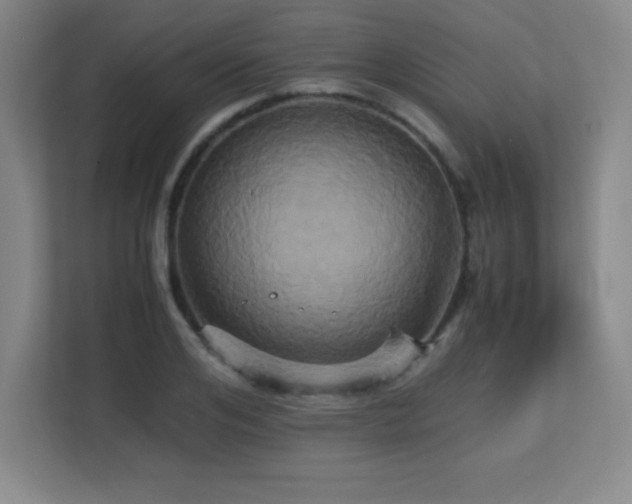 X0000113250984200909101425