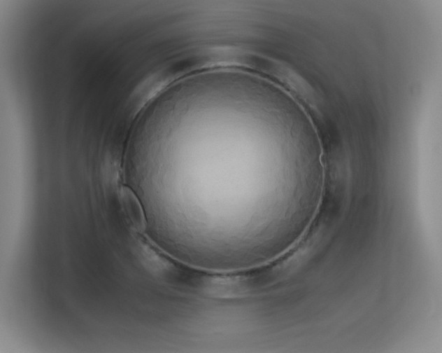 X0000113250985200909101425