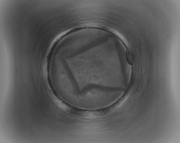 X0000113250987200909101425