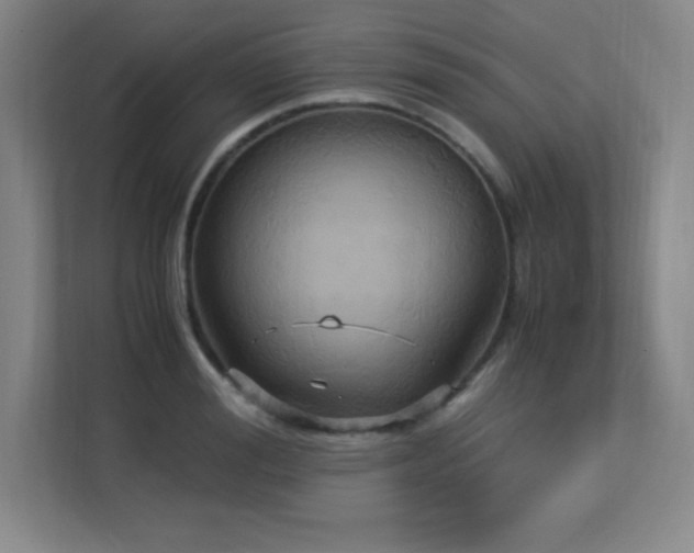 X0000113250988200909101425