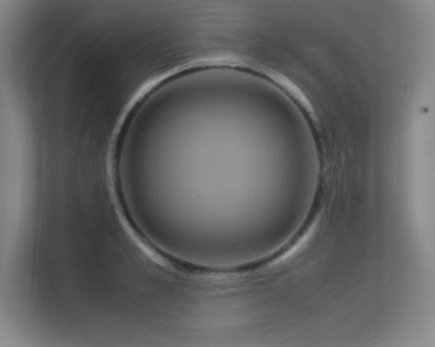 X0000113250989200909101425