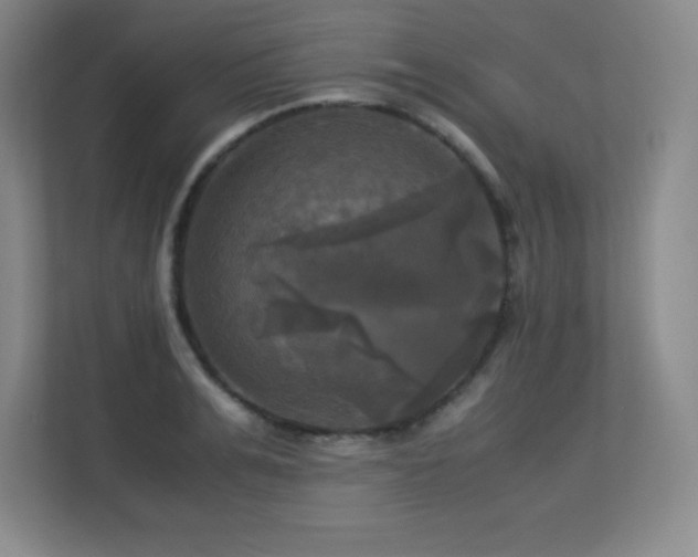 X0000113250991200909101425