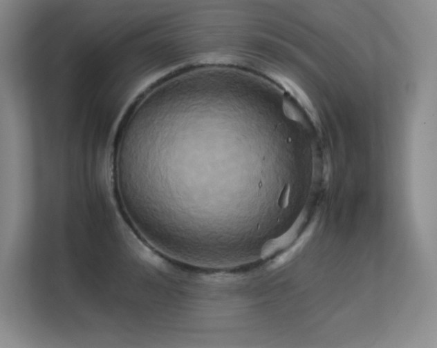 X0000113250992200909101425