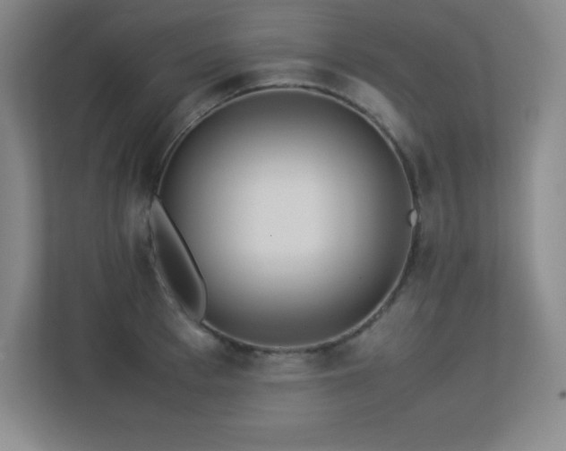 X0000113250993200909101425