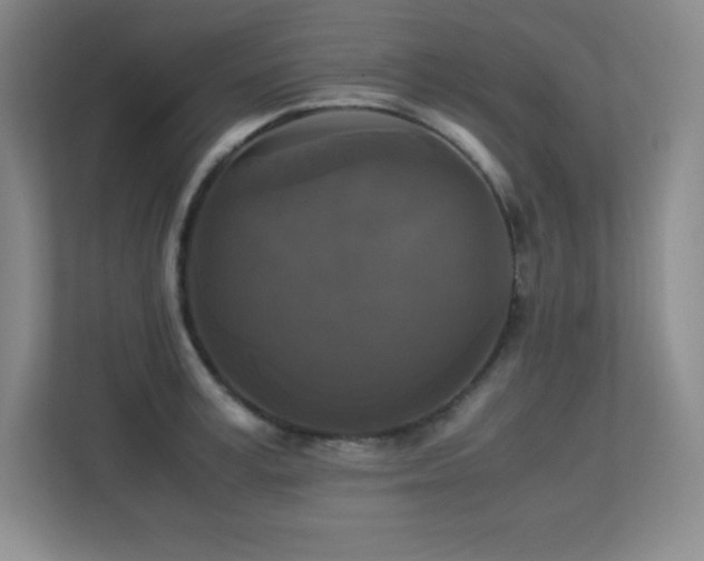 X0000113250995200909101425