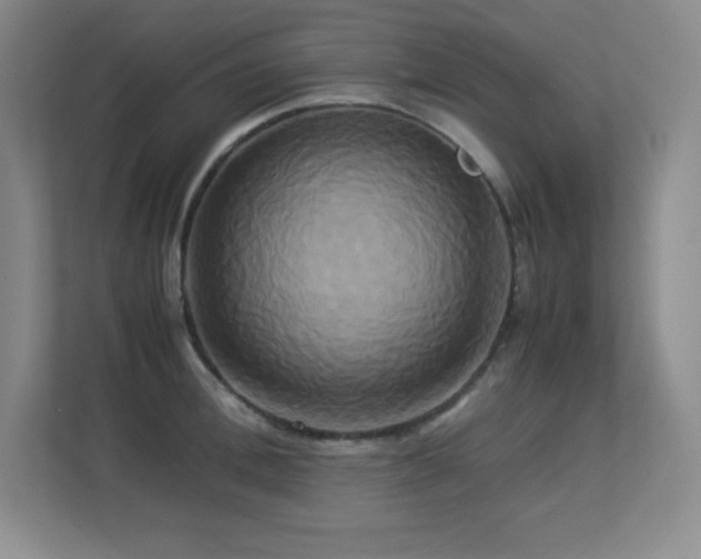 X0000113250996200909101425