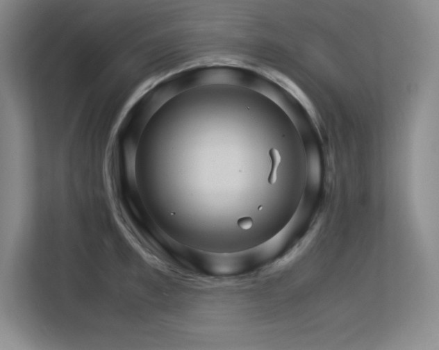 X0000113250997200909101425