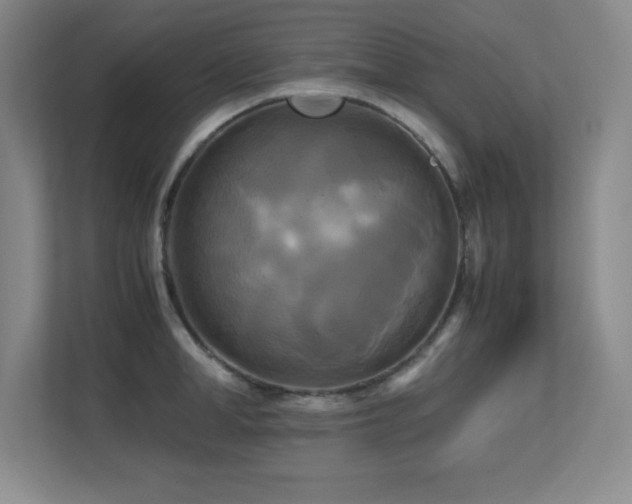 X0000113250998200909101425