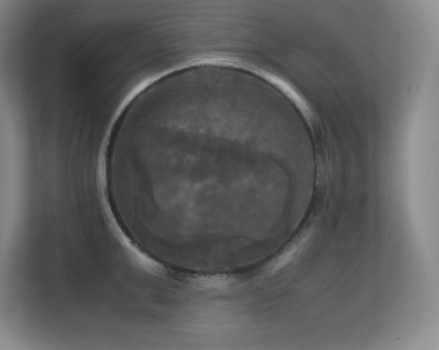 X0000113250999200909101424