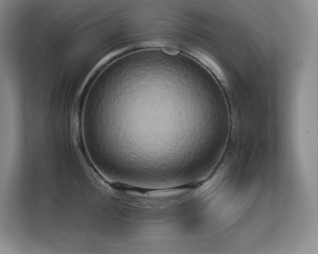 X0000113251000200909101424