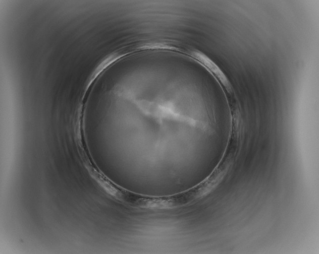 X0000113251002200909101424