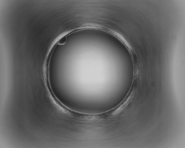 X0000113251003200909101424
