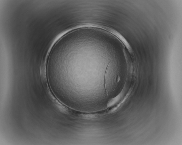 X0000113251004200909101424