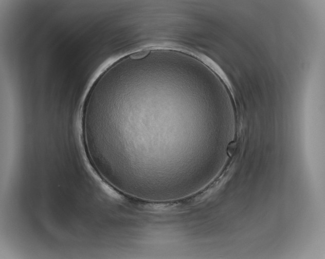 X0000113251005200909101424