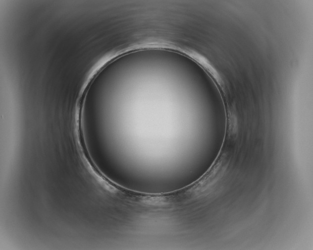 X0000113251006200909101424