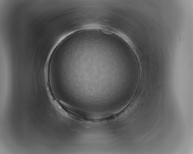X0000113251008200909101424