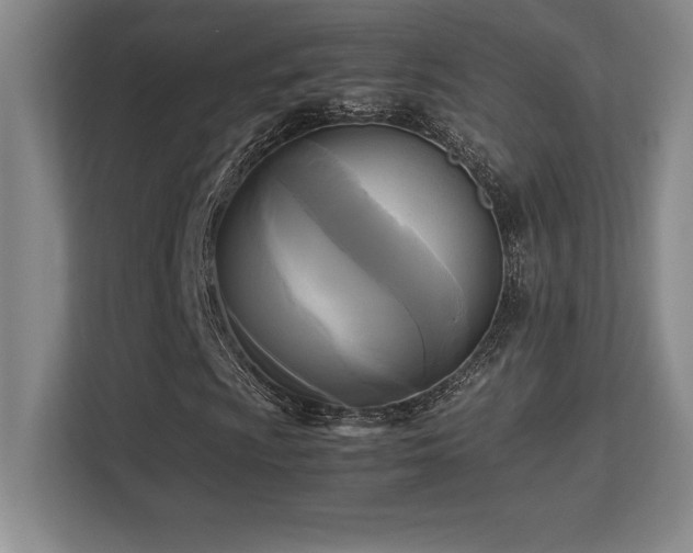 X0000113251009200909101424