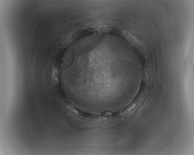 X0000113251010200909101424