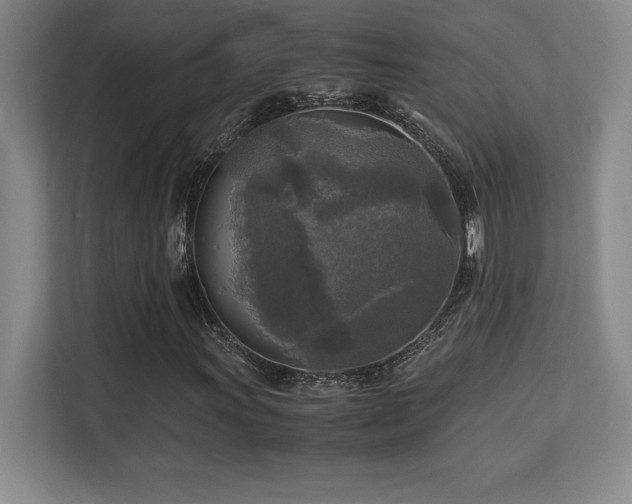X0000113251011200909101424