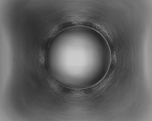 X0000113251012200909101424