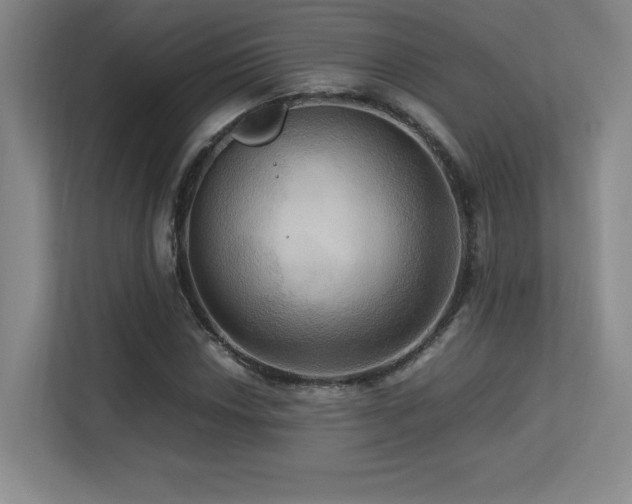 X0000113251018200909101424