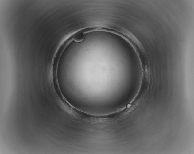 X0000113251020200909101424